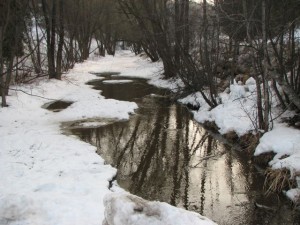 IMG_0076_3