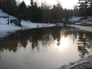 IMG_0081_3